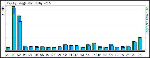 Hourly usage