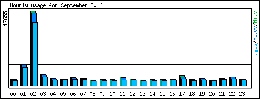 Hourly usage