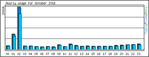 Hourly usage