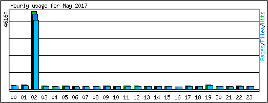 Hourly usage
