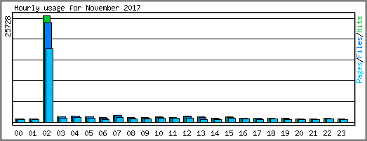 Hourly usage